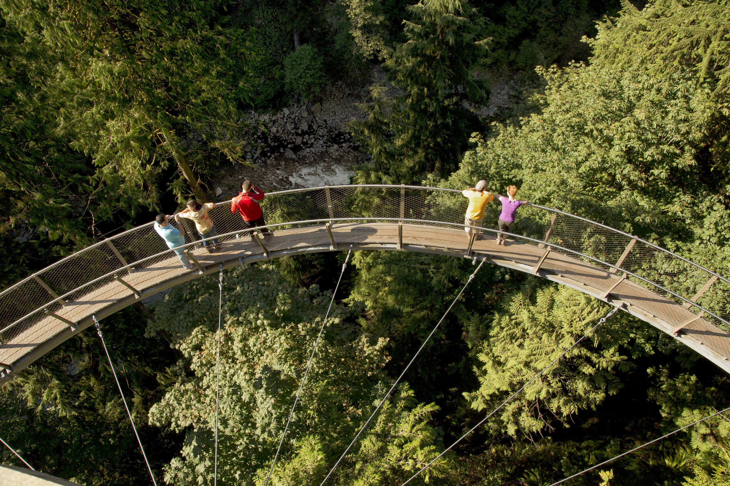 https://res.cloudinary.com/see-sight-tours/image/upload/v1581434194/Cliffwalk-overhead.jpg