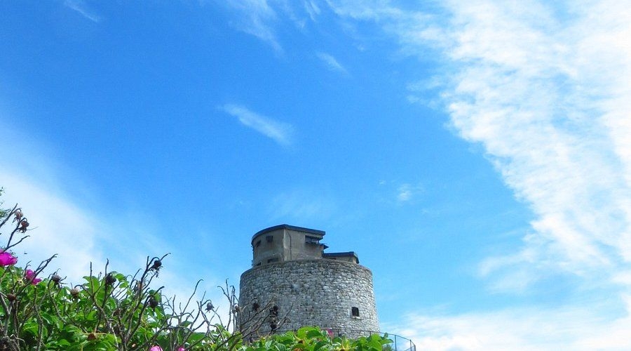 https://res.cloudinary.com/see-sight-tours/image/upload/v1745930800/strapi/the_tower_a0e19a7f94.jpg
