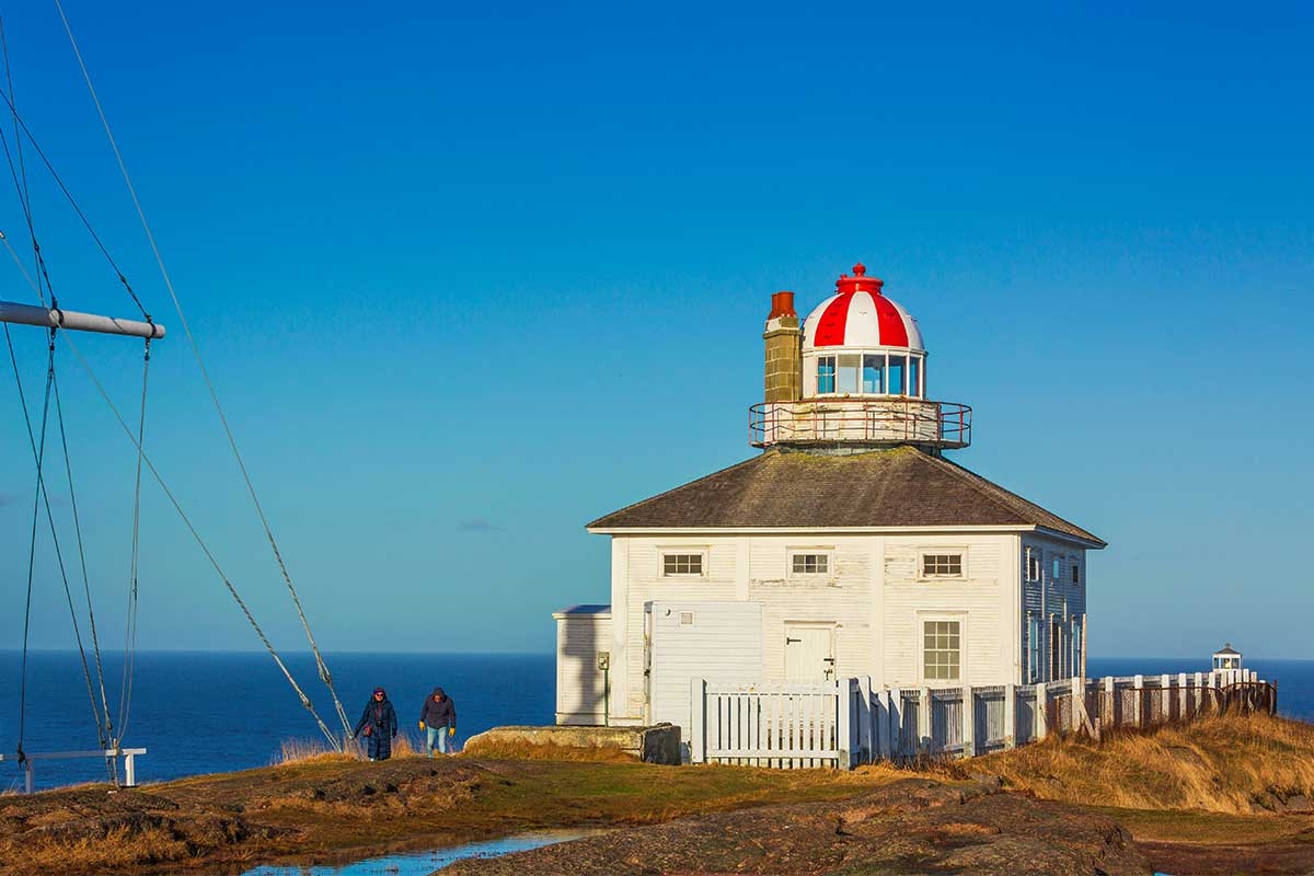 https://res.cloudinary.com/see-sight-tours/image/upload/v1753179699/strapi/7_7dad95a1f8.jpg