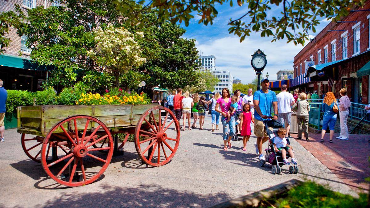 Best of Savannah Tour image 4