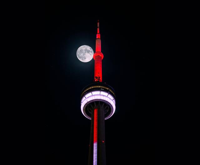 Scenic Toronto Night Tour (with CN Tower) image 5
