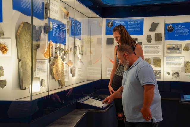 Royal Ontario Museum Revealed: A Guided Tour Through History image 2