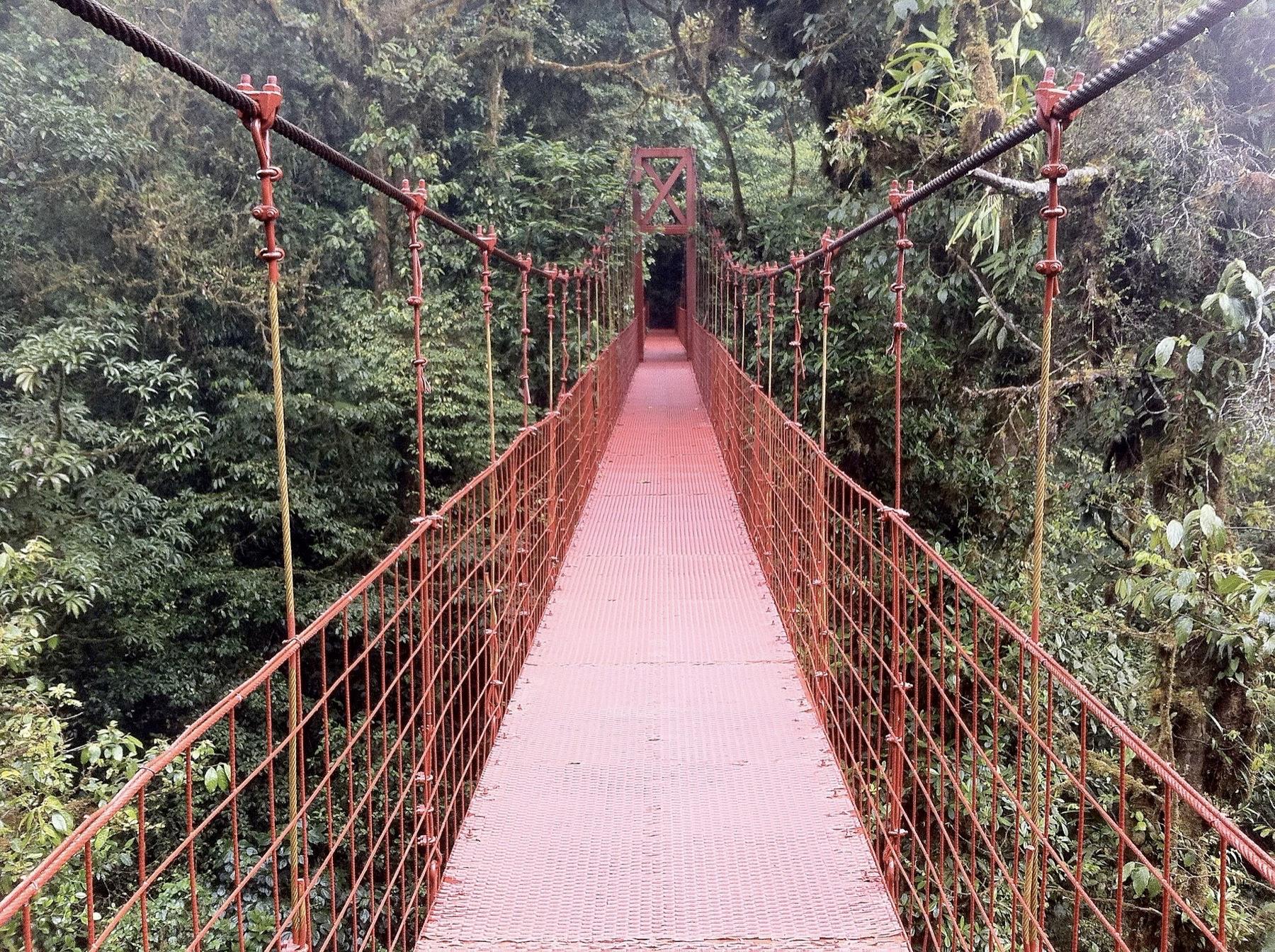 A red suspension bridge leading into dense, moss-covered cloud forest in Monteverde