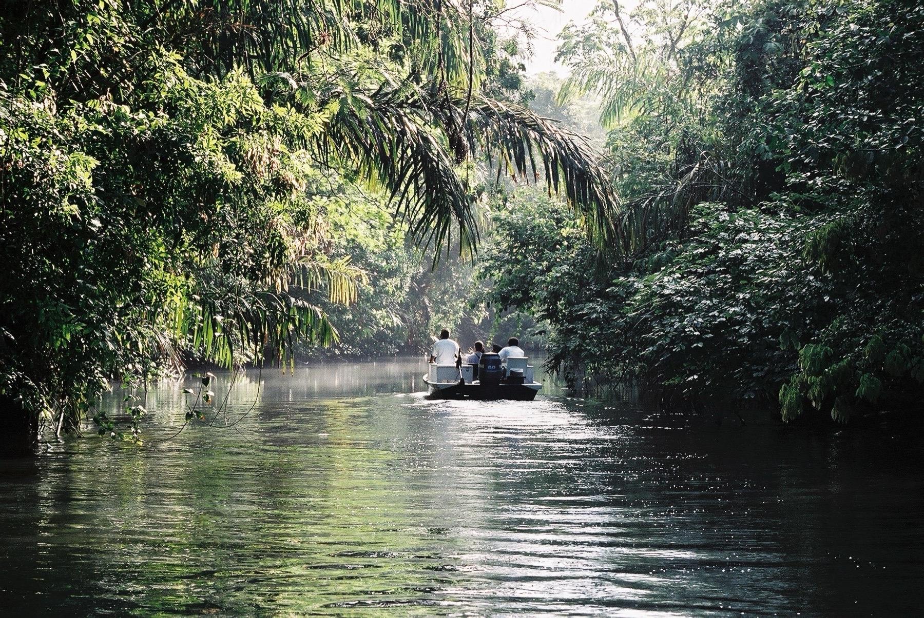 A small boat glides along a calm, palm-lined canal in the rainforest of Tortuguero National Park