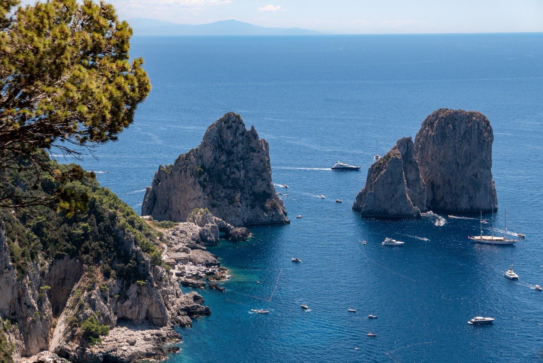 The Faraglioni rock stacks rising from deep blue water off Capri, with boats around them and a pine tree on the cliff in the foreground