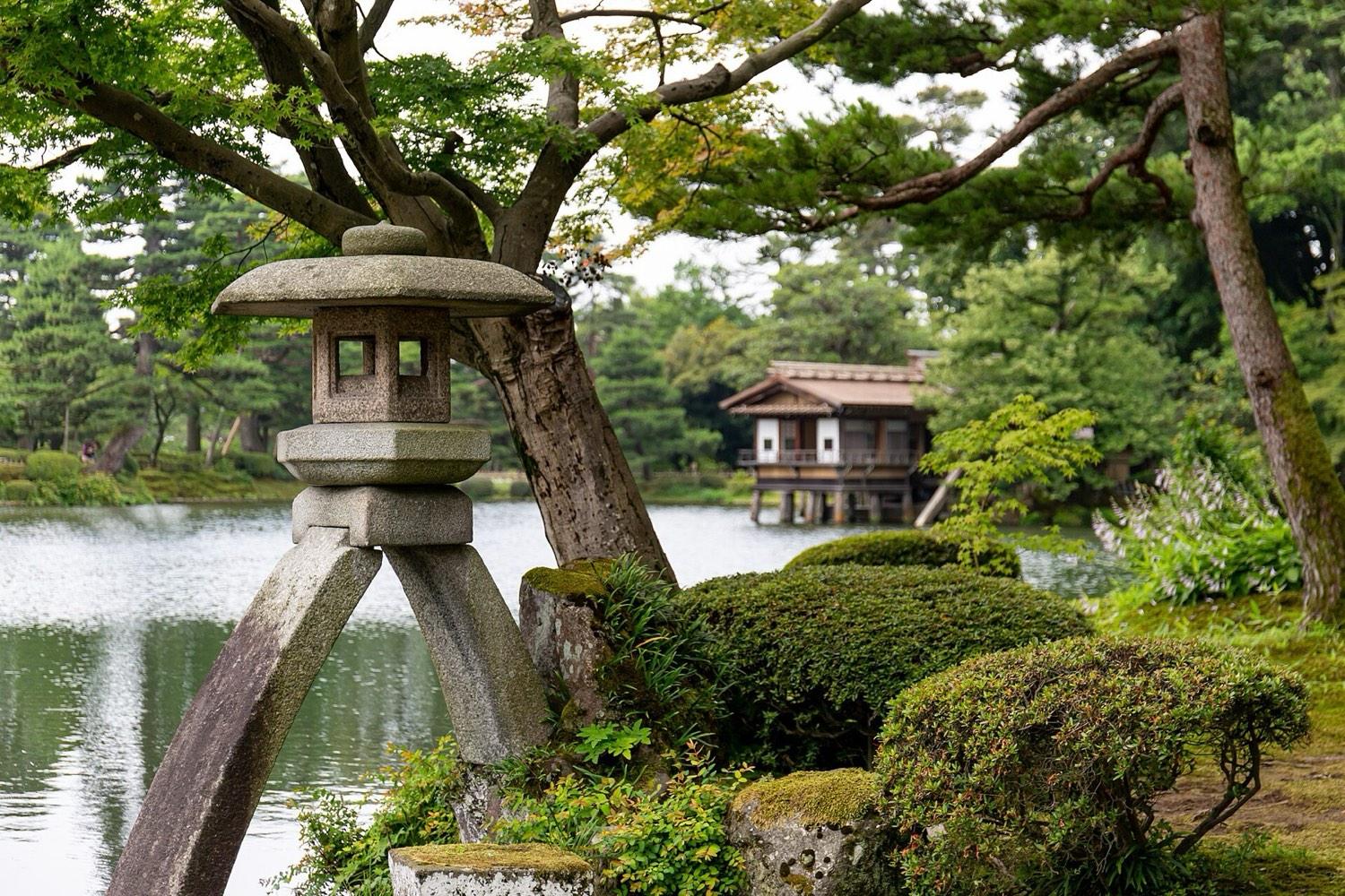 The two-legged Kotoji stone lantern beside a pond under pine branches in Kenroku-en