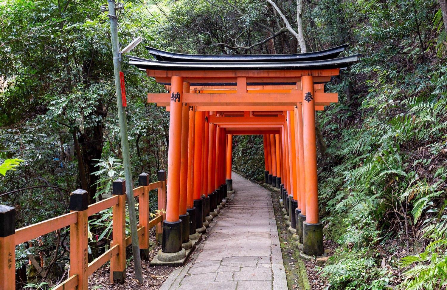 A tunnel of vermilion torii gates leading up a stone path through green forest at Fushimi Inari