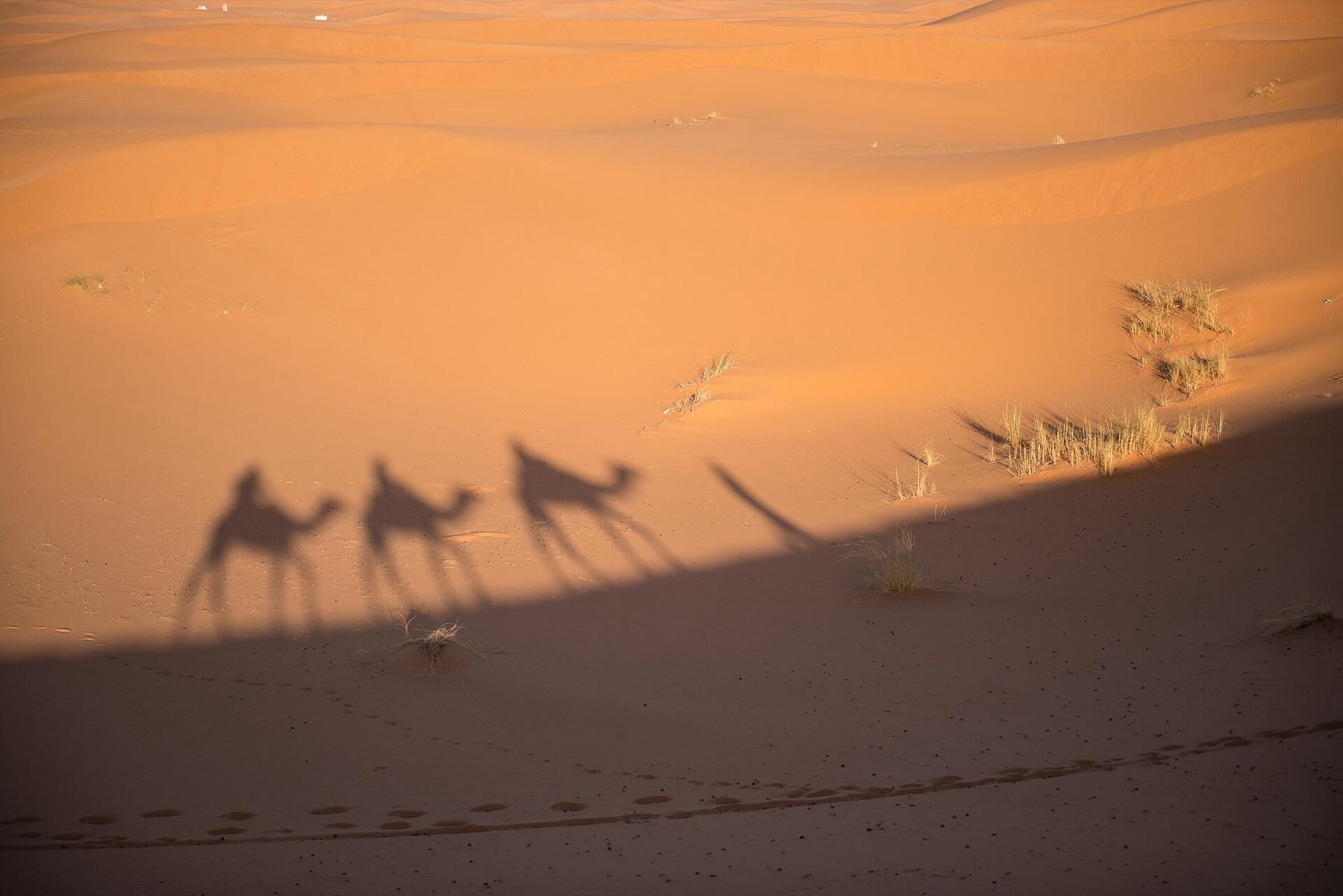 The long evening shadows of a line of camels and riders cast across the orange dunes of Erg Chebbi