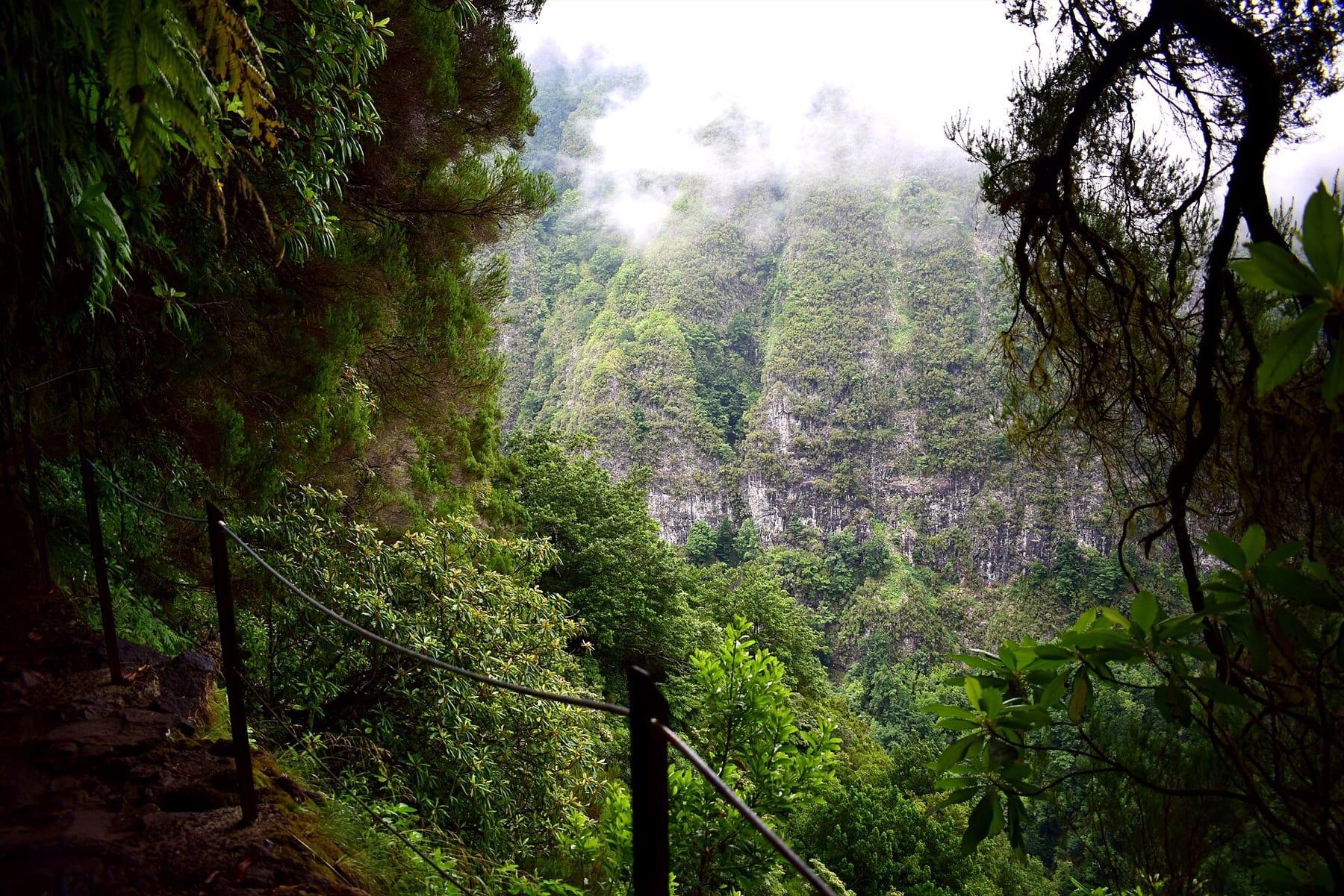 A railed levada path runs through laurel forest towards steep green cliffs veiled in mist
