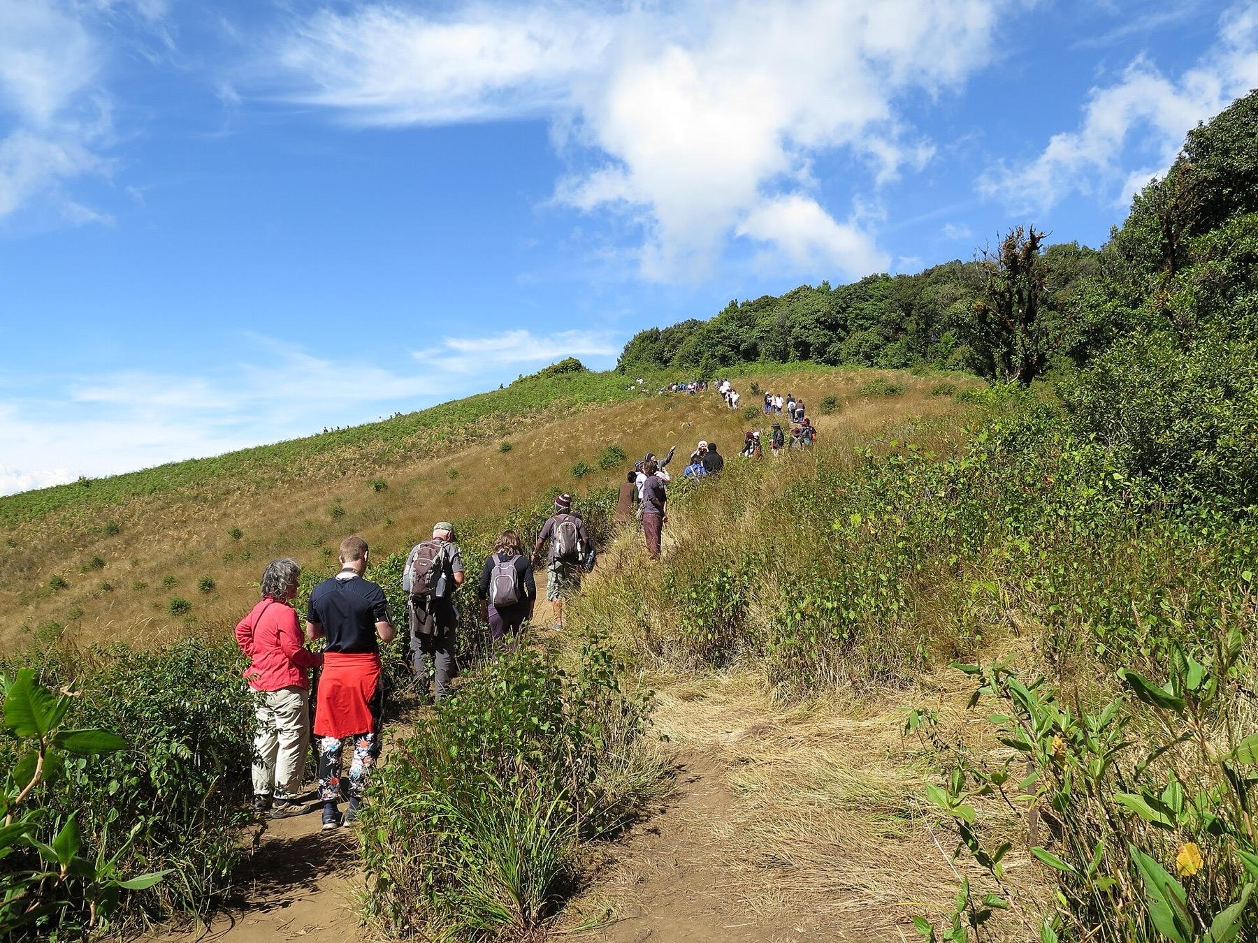 Walkers on the grassy ridge of the Kew Mae Pan nature trail on Doi Inthanon under a blue sky