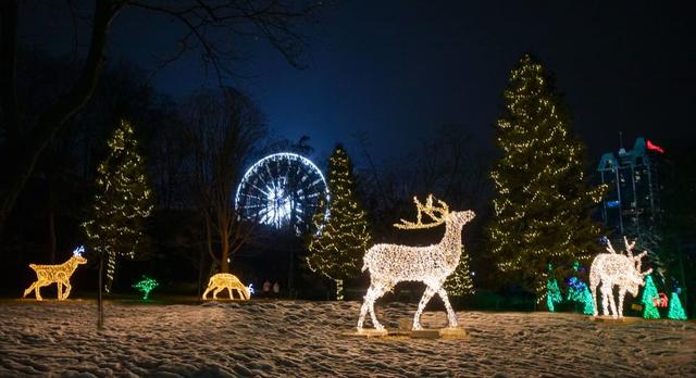 Niagara Falls Winter Festival of Lights - See Sight Tours