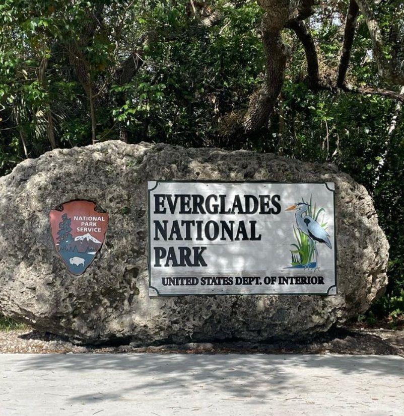 Going to Everglades National Park: Airboat Tour and Wildlife Show