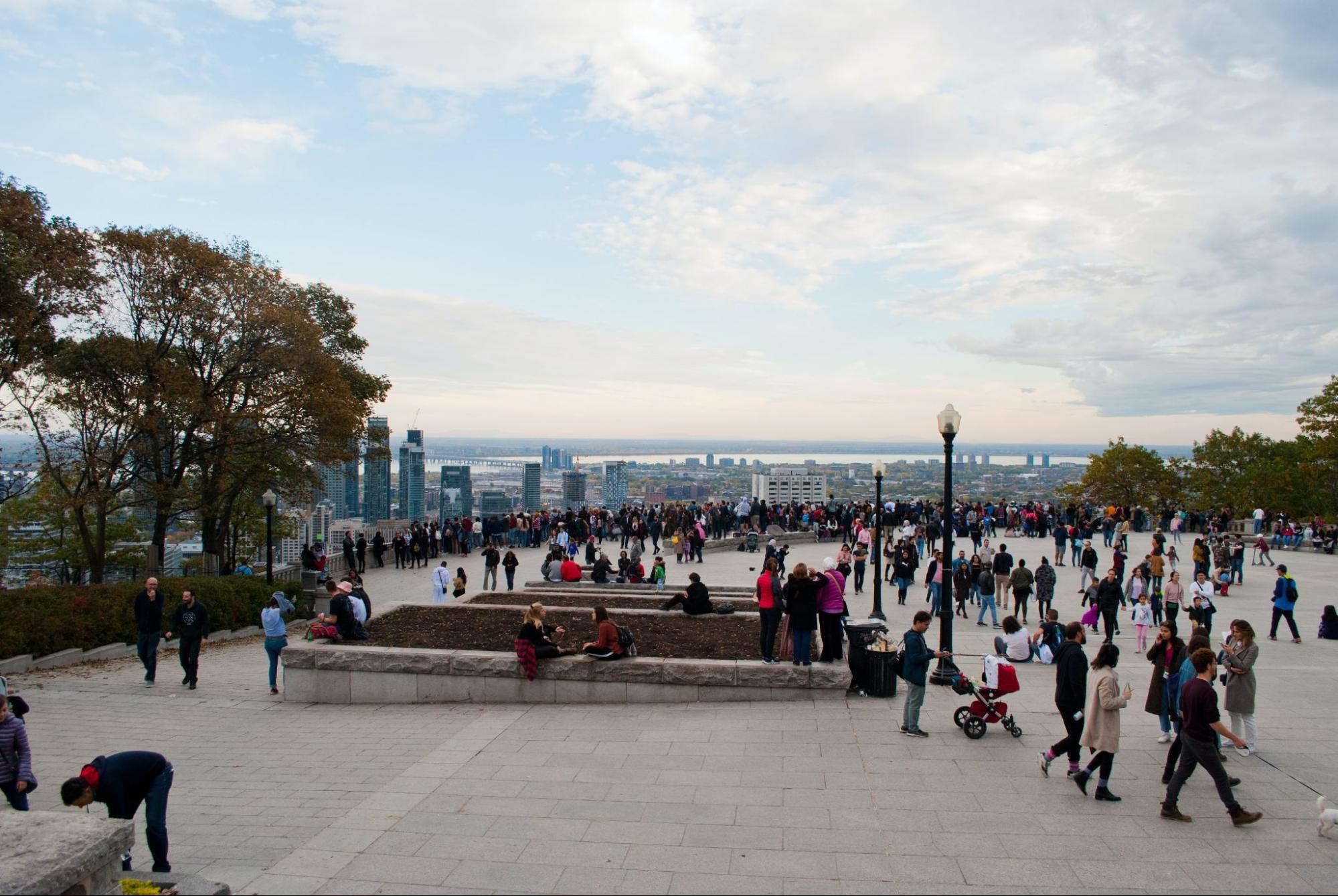 Things to Know Before Visiting the Montreal's Mount Royal Lookout