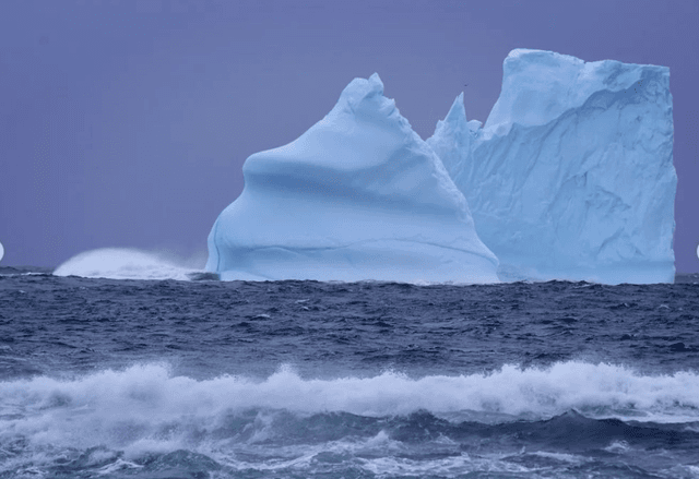 Iceberg Viewing in Newfoundland 2025 - See Sight Tours