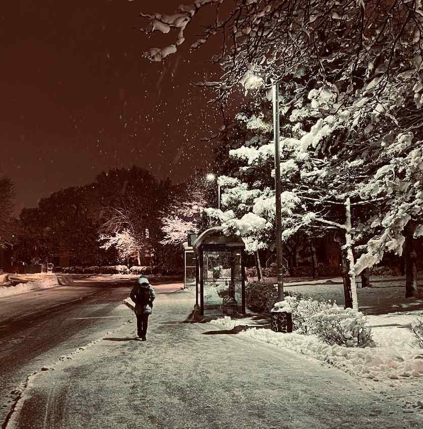 Montreal in Winter.jpg