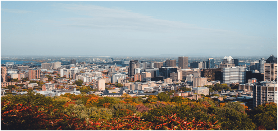 Montreal in November.jpg