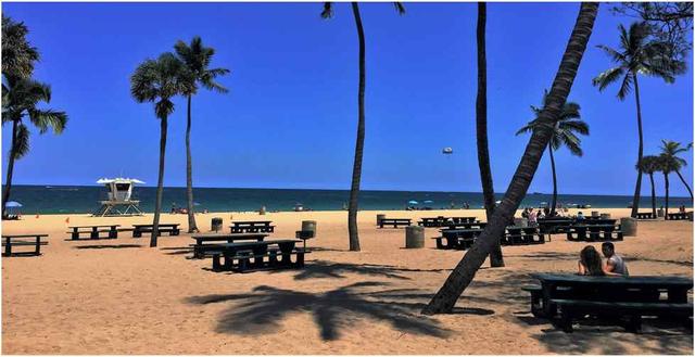  Visiting Fort Lauderdale in Winter - See Sight Tours