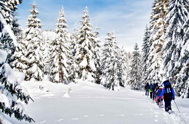 Visiting Vancouver In January - See Sight Tours