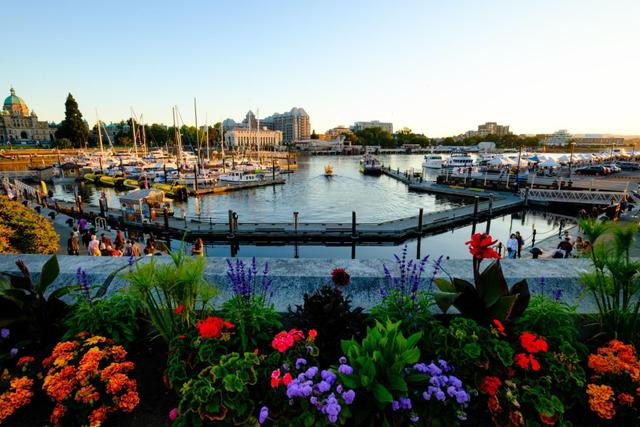 Hidden Gems in Victoria: Exploring Enigmatic Beauty - See Sight Tours
