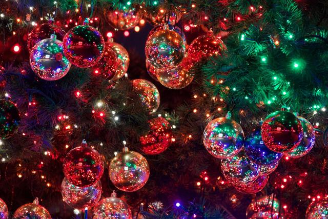 Experience the Magic: Christmas in Austin Unveiled - See Sight Tours