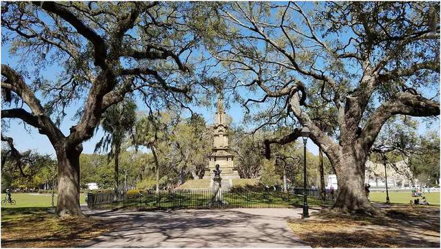 Visiting Savannah in February: Your Ultimate Escape - See Sight Tours
