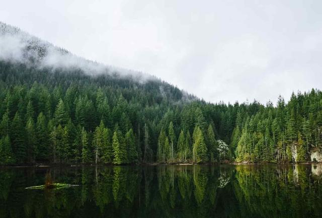 Visiting Vancouver in February - See Sight Tours