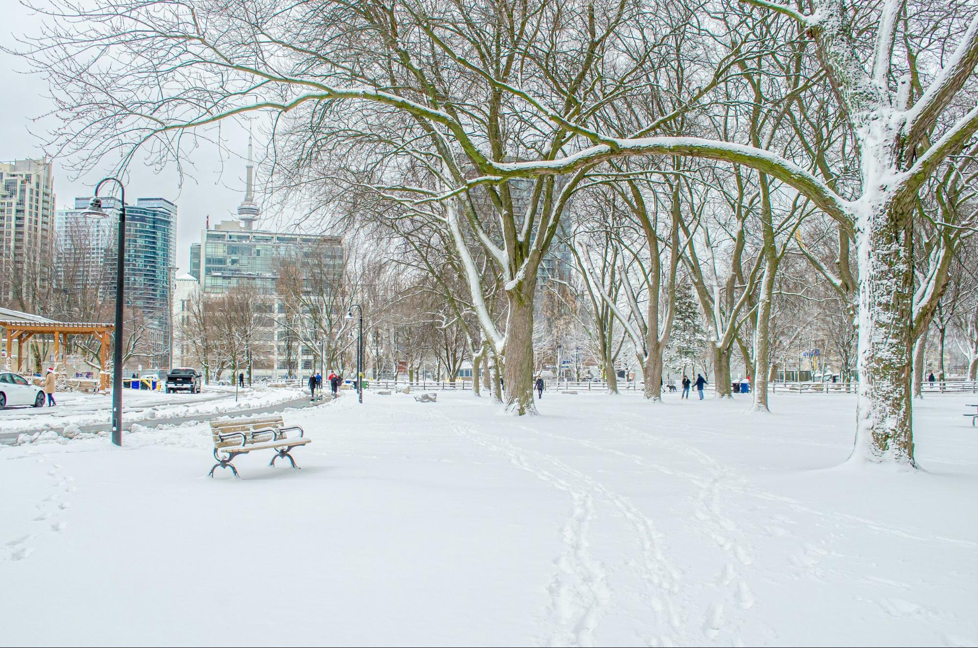 Visiting Toronto in February.jpg