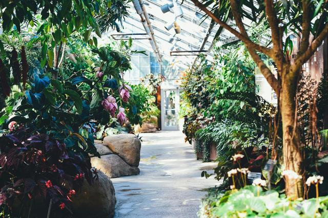 Old Montreal to Montreal Biodome - See Sight Tours
