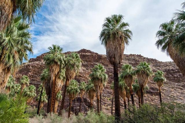 Palm Springs in Summer - See Sight Tours