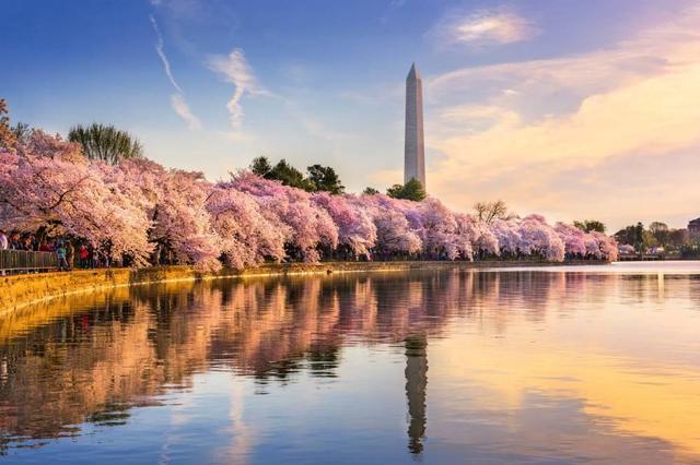 Best time to visit Washington D.C. - See Sight Tours
