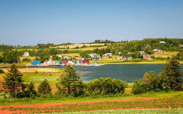 Visiting Prince Edward Island in August - See Sight Tours