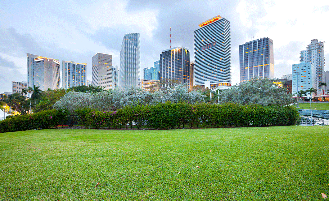 Bayfront Park in 2024