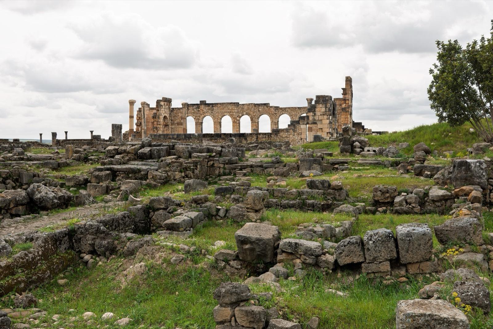 The arched walls and columns of the Roman basilica at Volubilis above grassy ruins