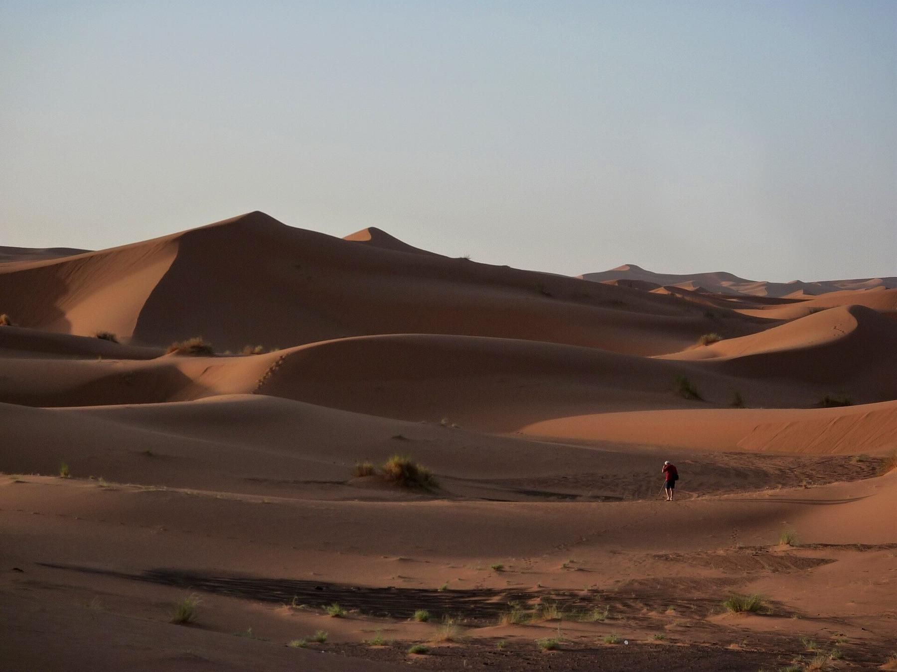 A lone walker among the soft orange dunes of Erg Chebbi in early morning light