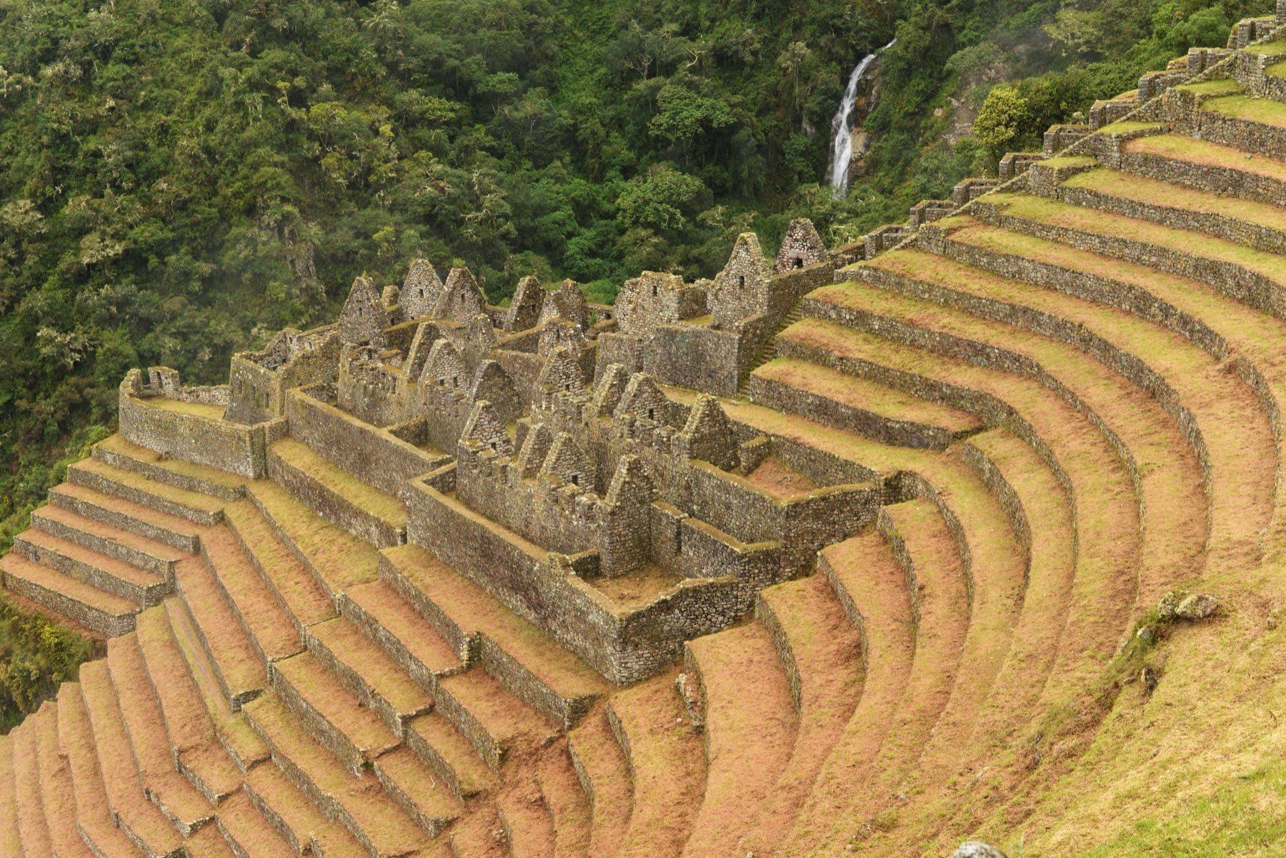 The curved stone terraces and buildings of Wiñay Wayna on a steep forested slope