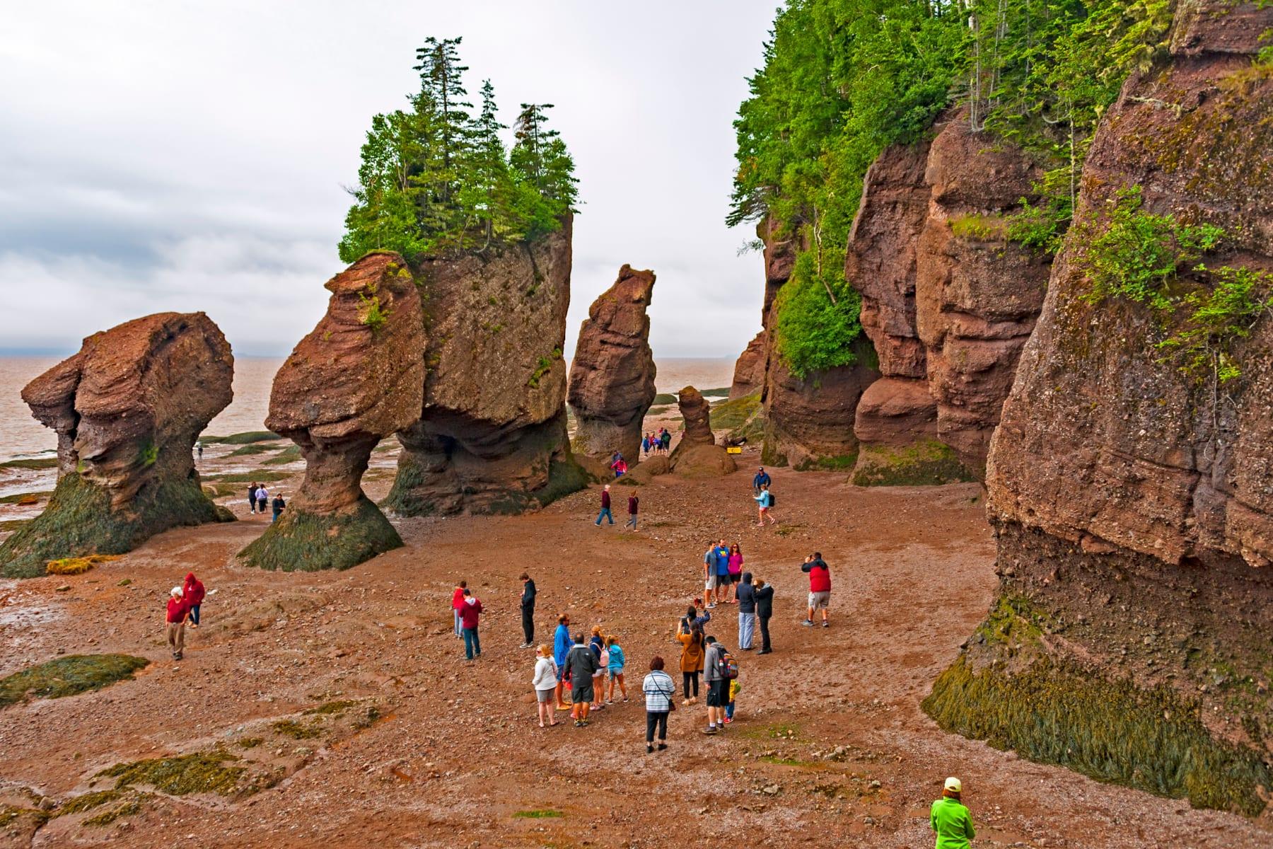 Hopewell Rocks Main