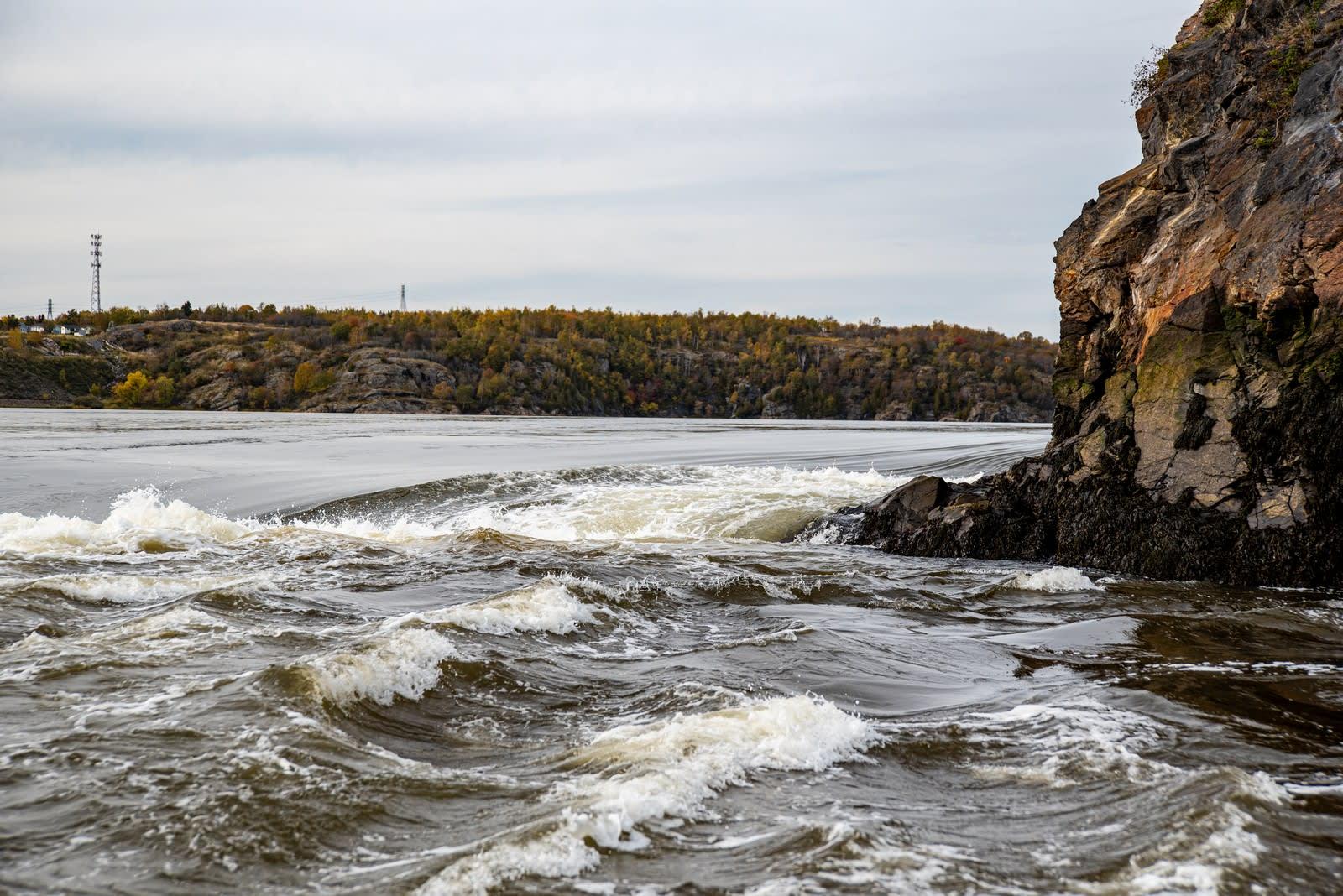 Best of Saint John, NB Tour + JetBoat