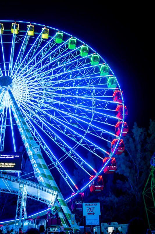 Scenic Miami Night Tour