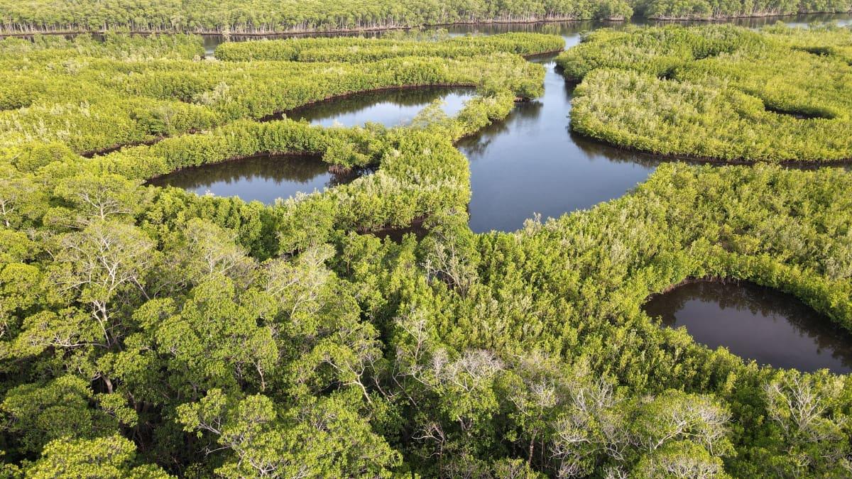 Everglades Safari National Park Airboat photo 5