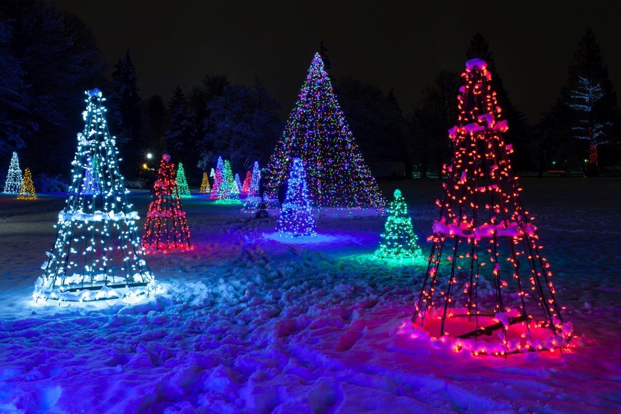 Festive Night on Niagara Holiday Lights Tour with Helicopter Ride