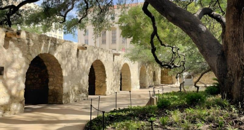 The Alamo photo 5
