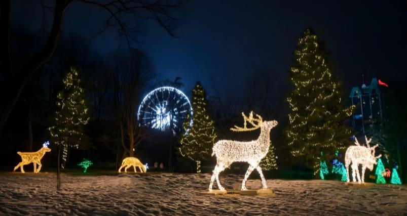 40th Niagara Falls Winter Festival of Lights