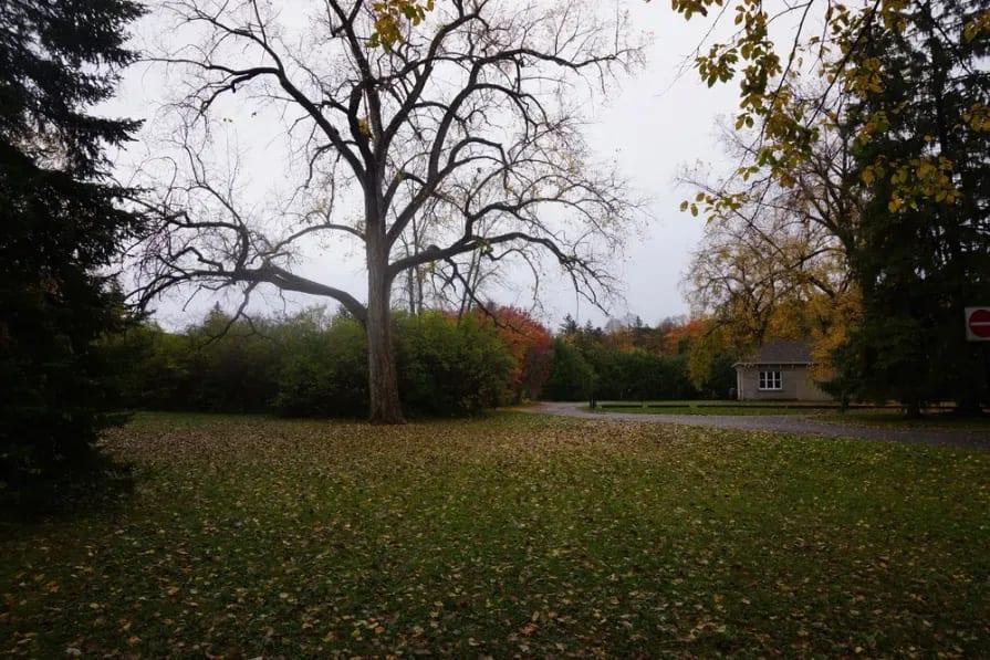 Rockcliffe_Park.jpg