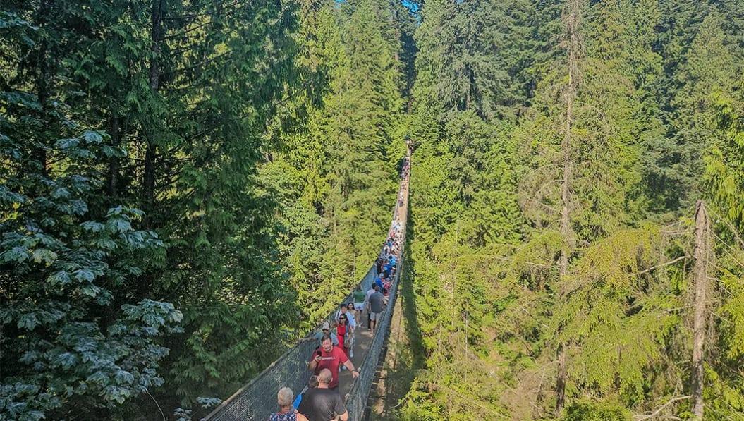 Cliff-Walk--.jpg