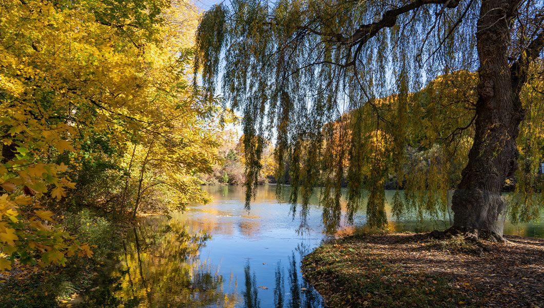 Dufferin-Islands-Ontario.jpg
