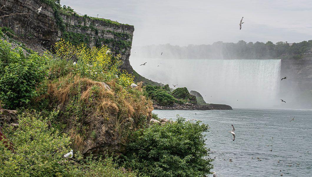 NF-New-York-Cave-of-the-Winds.jpg