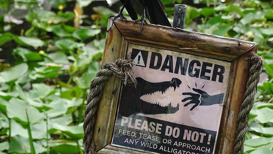 Everglades Safari National Park Airboat photo 6