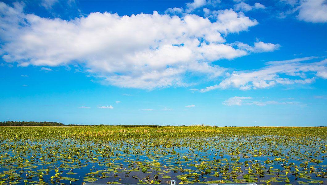 Everglades Safari Park Foto 3