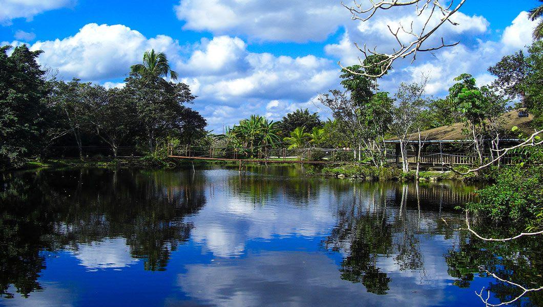 Everglades Safari Park Foto 5
