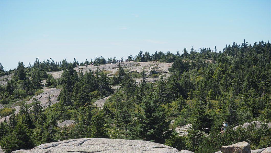 View-of-Acadia-National-Park.jpg